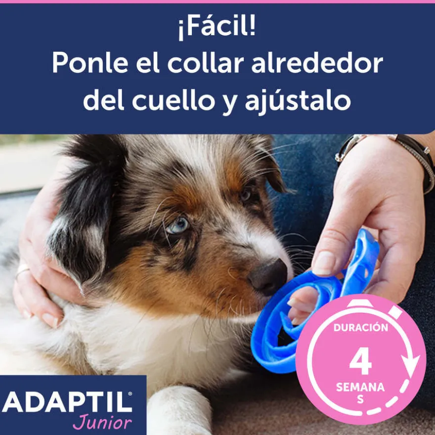 Adaptil Junior Collar Anti-estrés para perros