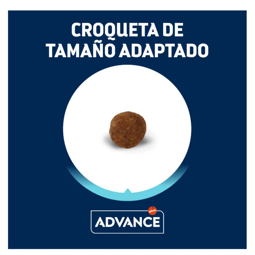 Advance Active Defense Yorkshire Terrier Adult pienso para perros