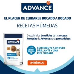 Advance Adult Bocaditos con Pollo en salsa sobre para gatos