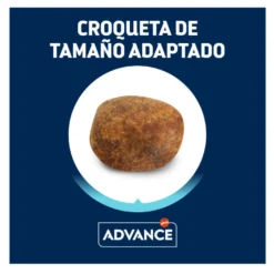 Advance Adult Labrador & Golden Retriever Active Defense Pollo y Arroz pienso para perros