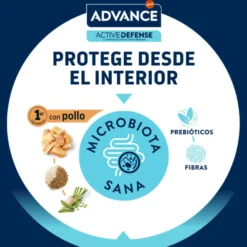 Advance Junior Sterilized pienso para gatos