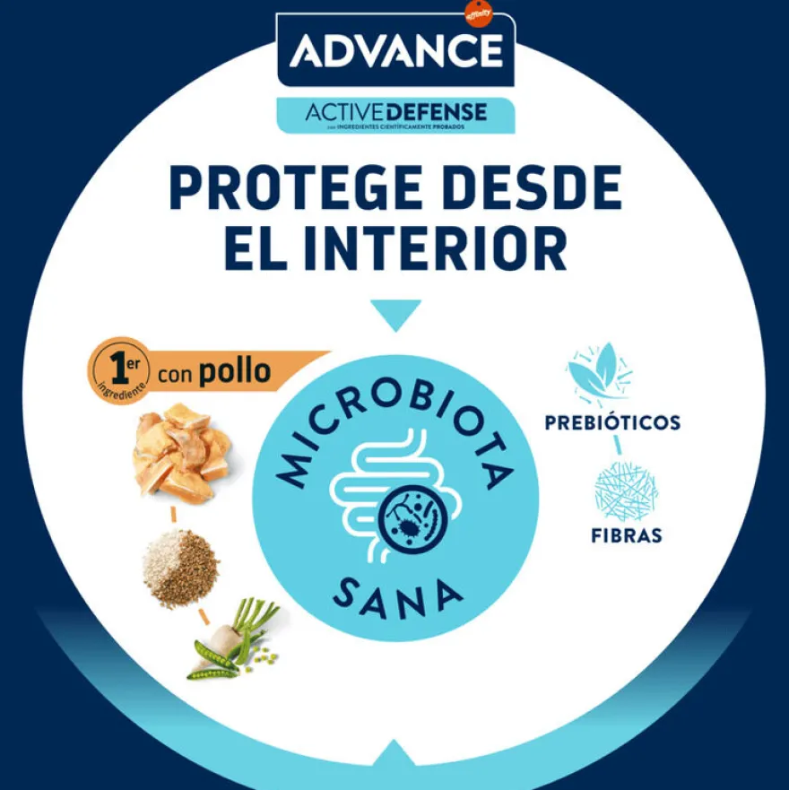 Advance Junior Sterilized pienso para gatos