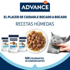 Advance Kitten Pavo en salsa sobre para gatos