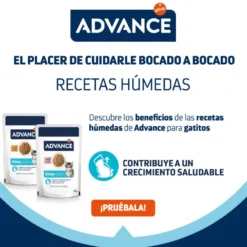 Advance Kitten Pavo en salsa sobre para gatos