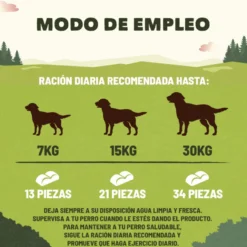 Adventuros Training Salmón snacks para perros