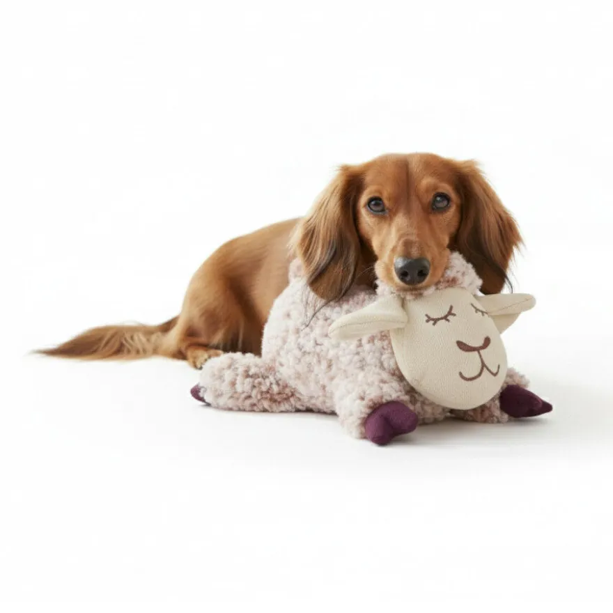 All For Paws Calming Pals Oveja con Lavanda Juguete para perros