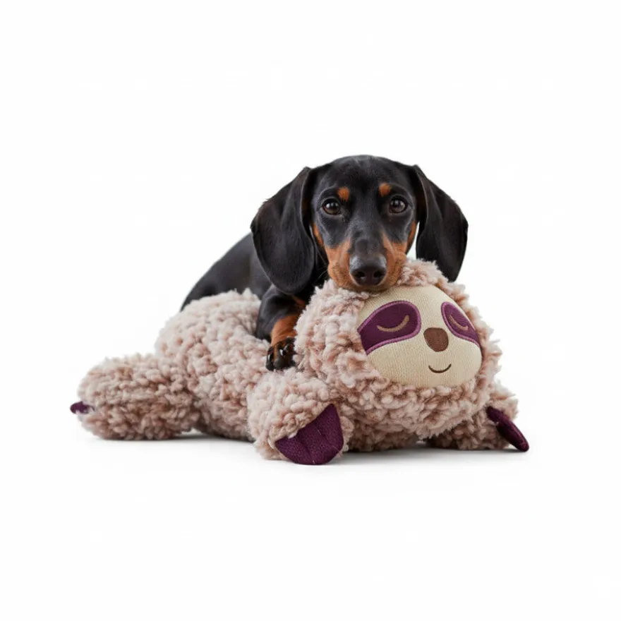 All For Paws Calming Pals Perezoso con Lavanda Juguete para perros