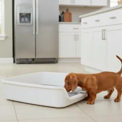 All For Paws Go Fresh Soporte Almohadillas Orina para perros