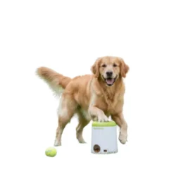 All For Paws Interactives Juguete Lanzador Golosionas para perros