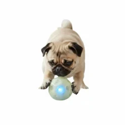 All For Paws Juguete Knite Balón con Luz para perros