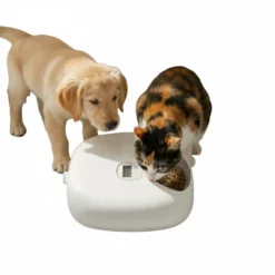 All For Paws Lifestyle Comedero Automático Blanco para perros y gatos