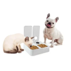 All For Paws Liftstyle4Pets Comedero Automático Doble para perros y gatos