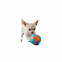 All for paws Meta Ball X Pelota de rebote Juguete para perros
