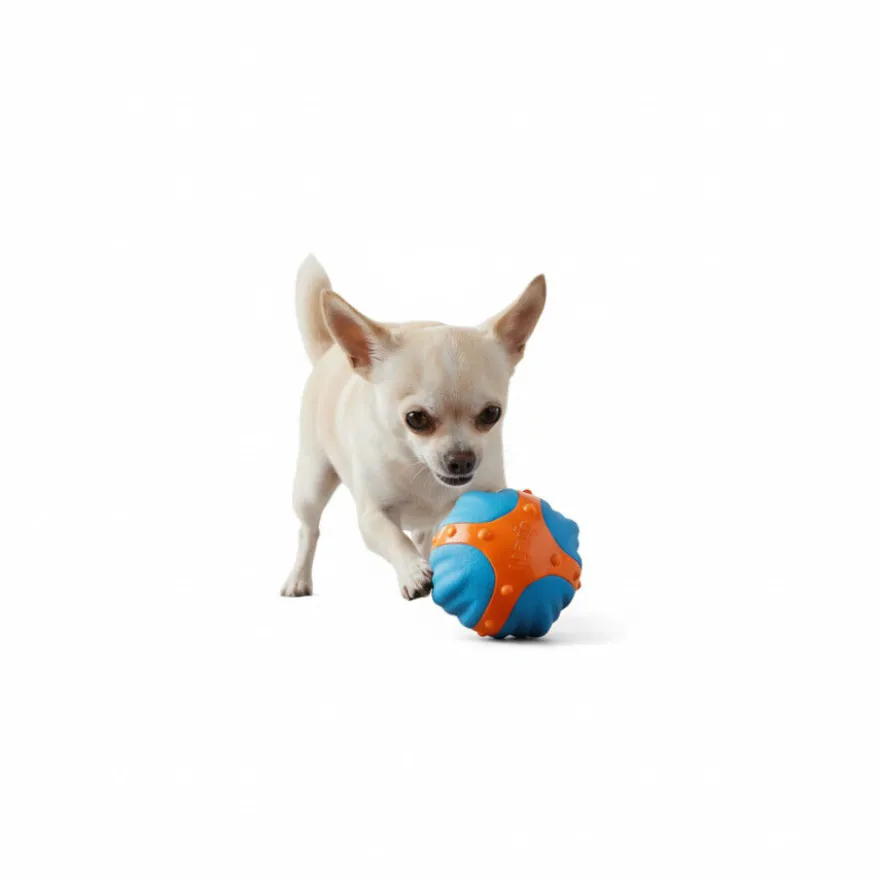 All for paws Meta Ball X Pelota de rebote Juguete para perros