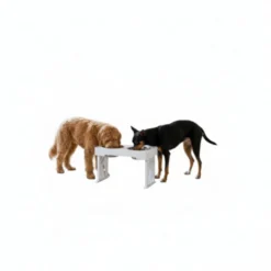 All For Paws Multi Height Comedero Doble para perros y gato