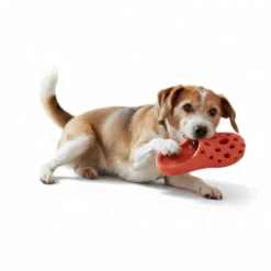 All For Paws Pantuflas Air Pups Juguete para perros