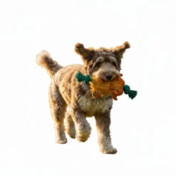 All For Paws Safari Big Foot Buffalo con Cuerda Juguete para perros
