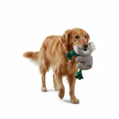 All For Paws Safari Cuddle Koala con Cuerda Juguete para perros