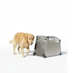 All For Paws Travel Dog Caja Viajes para perros