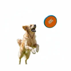 All For Paws Wag Play Juguete Frisbee Volador para perros