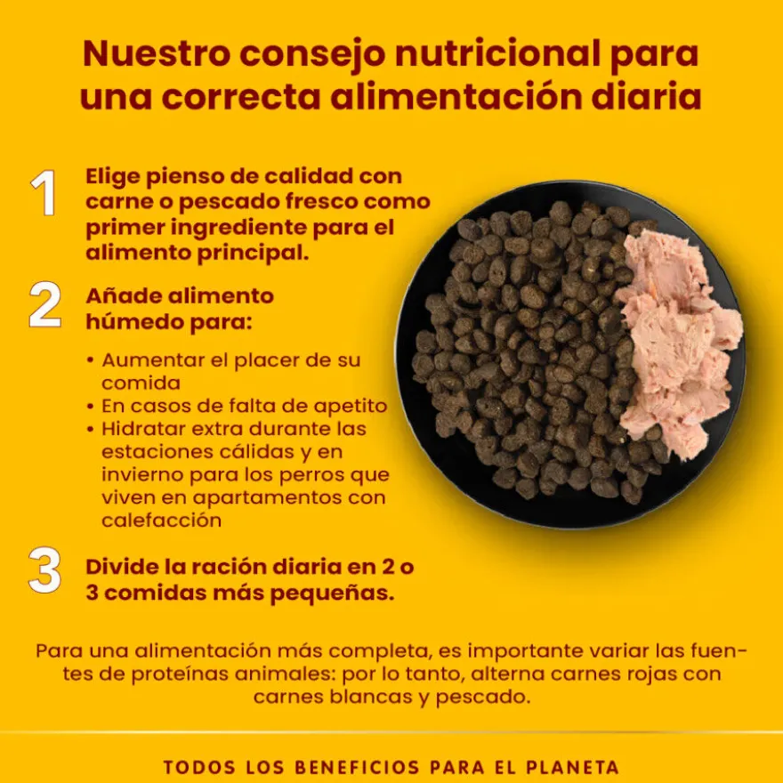 Almo Nature HFC buey lata para perros