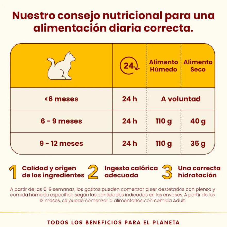 Almo Nature Kitten HFC Pollo lata para gatos