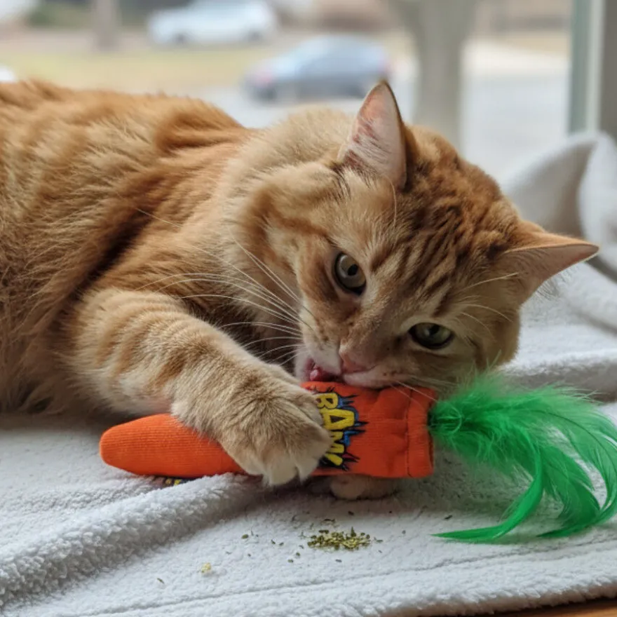 BAM! Peluche Zanahoria con Catnip para gatos