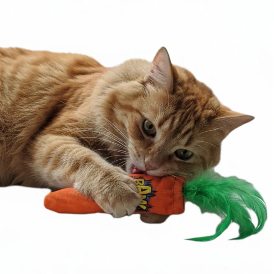 BAM! Peluche Zanahoria con Catnip para gatos