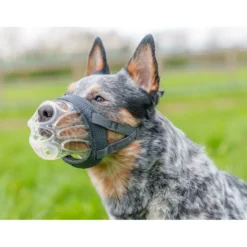 Baskerville Invisa bozal moldeable para perros