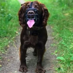 Baskerville Ultra Muzzle Bozal tipo canasta para perros
