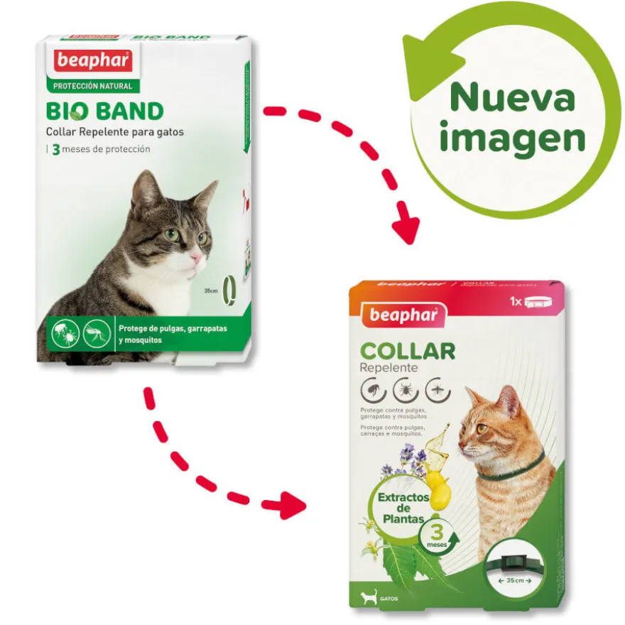 Beaphar Bioband Collar repelente para gatos