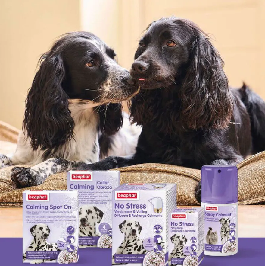 Beaphar Calming Spray Ambiente Relajante para gatos y perros