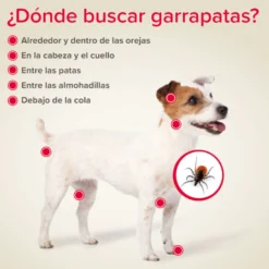 Beaphar Canishield Collar Antiparasitario para perros
