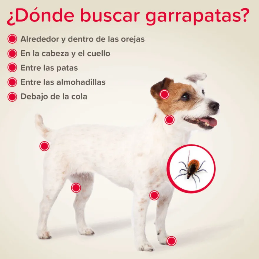 Beaphar Canishield Collar Antiparasitario para perros