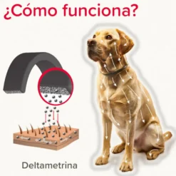 Beaphar Canishield Collar Antiparasitario para perros