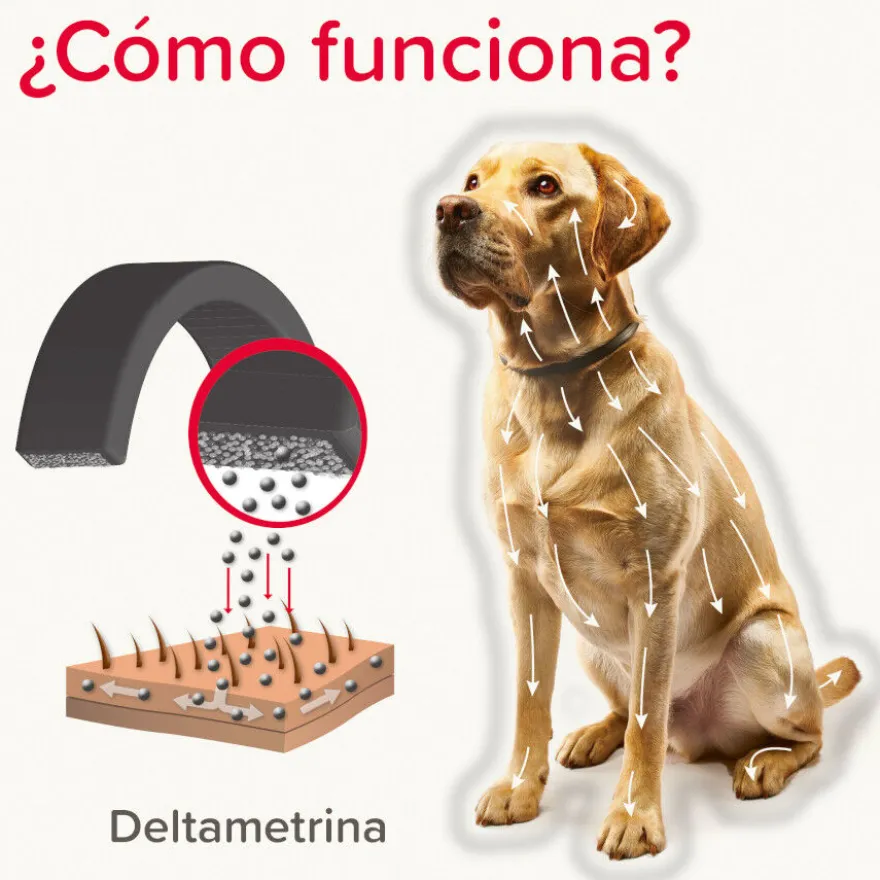 Beaphar Canishield Collar Antiparasitario para perros