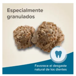 Beaphar Care + Junior Pienso para conejo junior