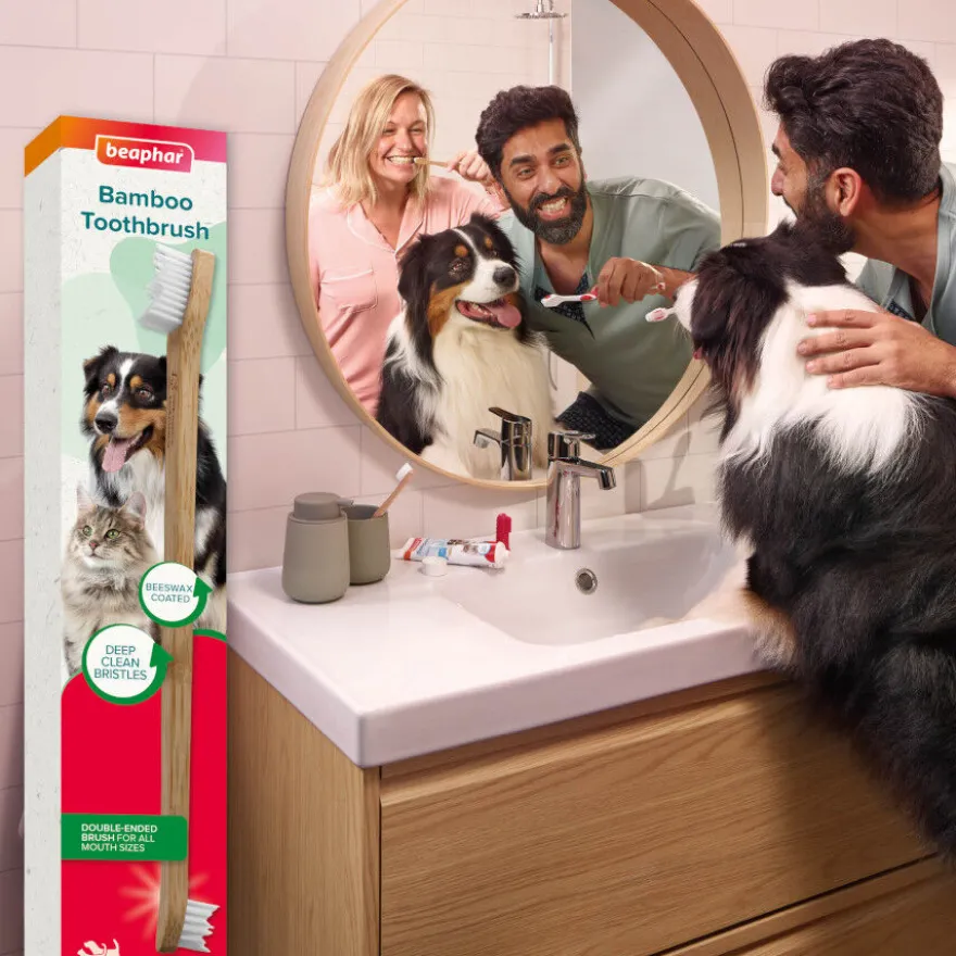 Beaphar Cepillo Dental de Bambú para Perros y Gatos