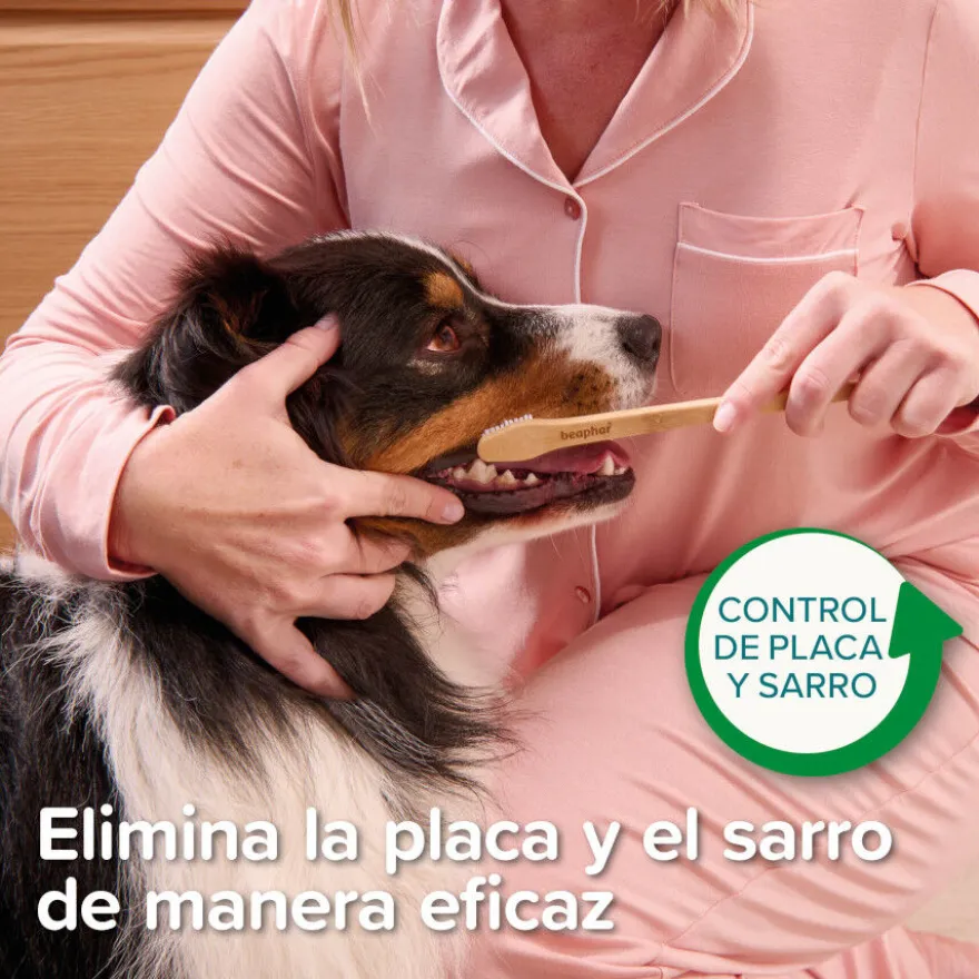 Beaphar Cepillo Dental de Bambú para Perros y Gatos