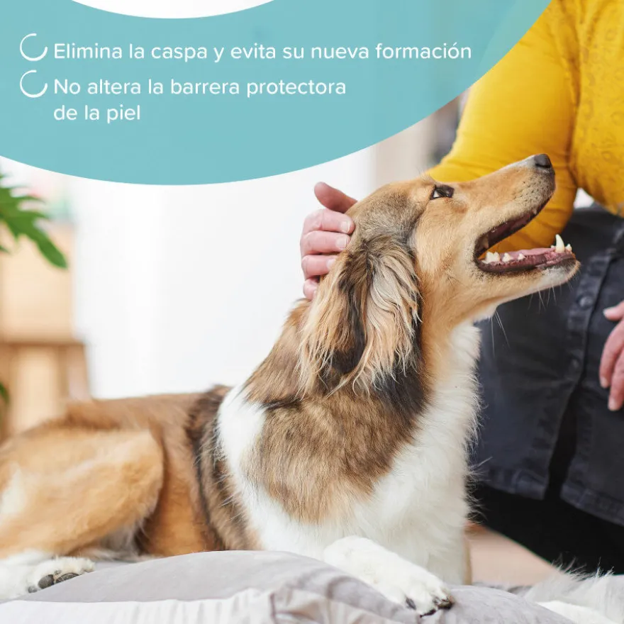 Beaphar Champú Anticaspa para perros y gatos