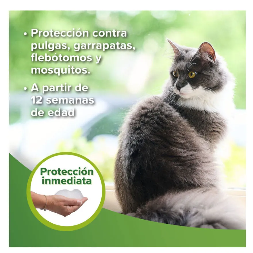 Beaphar Champú Repelente para perros y gatos