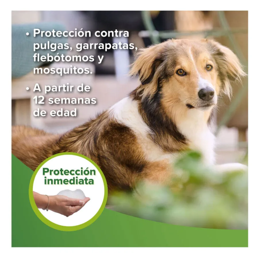 Beaphar Champú Repelente para perros y gatos
