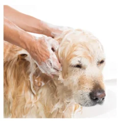 Beaphar Champú Repelente para perros y gatos