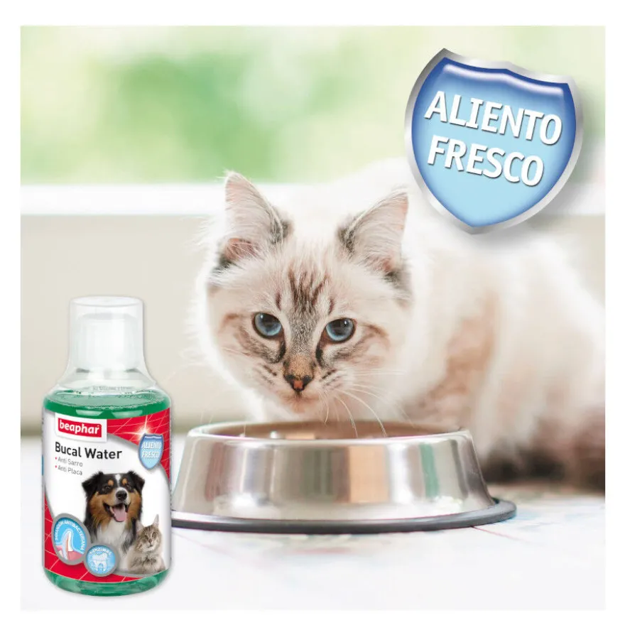 Beaphar Enjuague Bucal para perros y gatos
