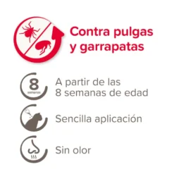 Beaphar Fiprotec Pipetas Antiparasitarias para gatos