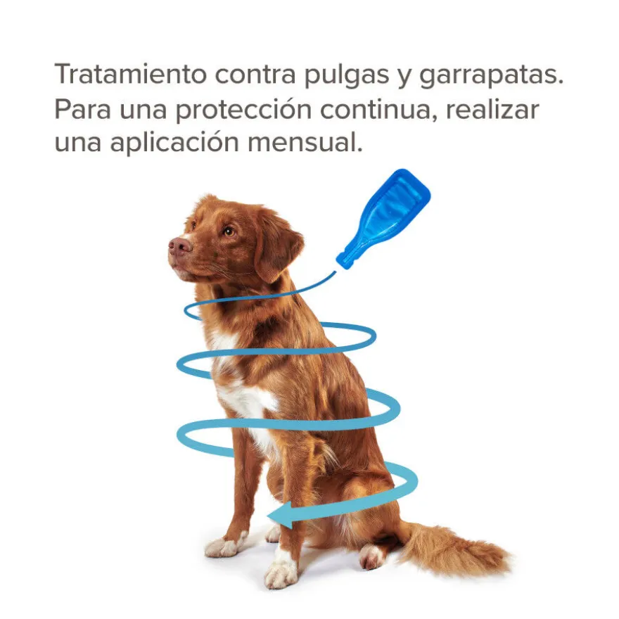 Beaphar FiproTec Pipetas para perros