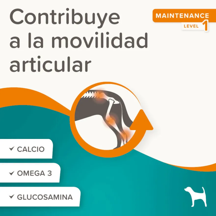 Beaphar Flexifit Treats Condroprotector para perros