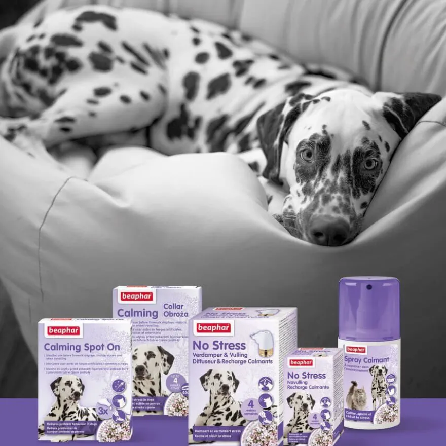 Beaphar No-Stress Difusor de Recambio Anti estrés para perros
