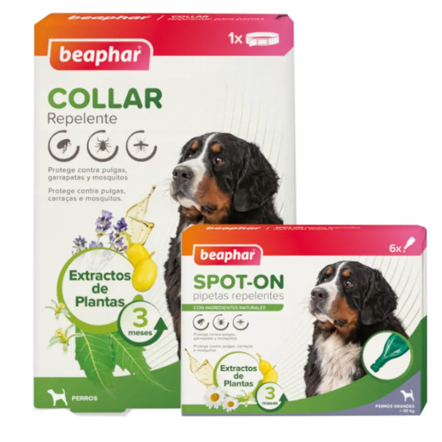 Beaphar Pack Pipetas y Collar Repelente para perros