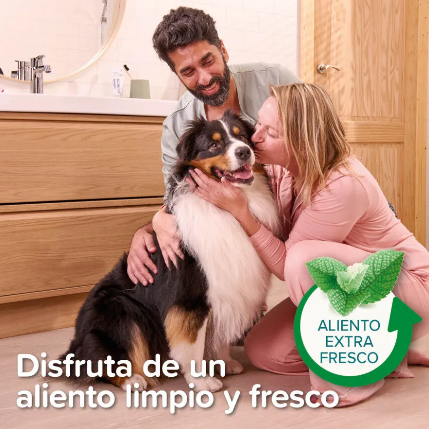 Beaphar Pasta Dental Menta Perejil para Perros y Gatos